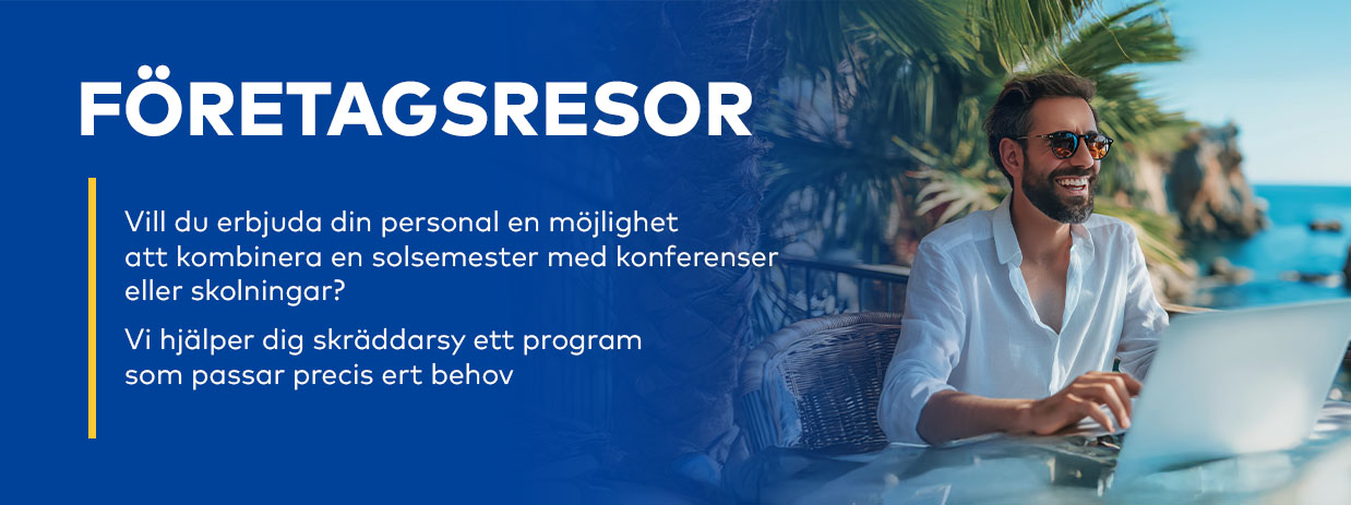 Företagsresor