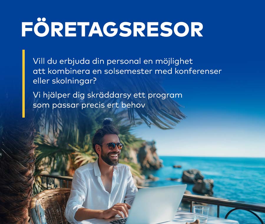 Företagsresor