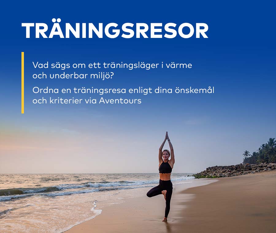 Träningsresor